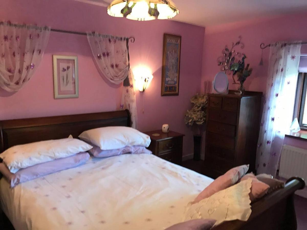 Cosy Cottage For Ecotourism Lovers Near Corwen Ngoại thất bức ảnh